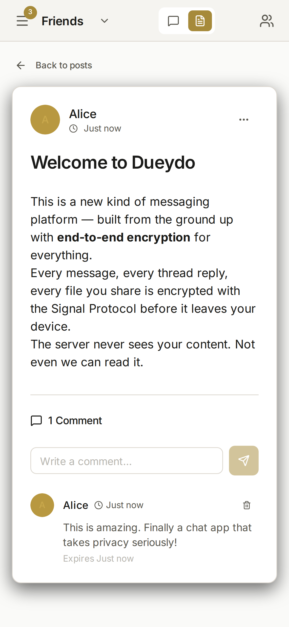 Dueydo post detail in light mode